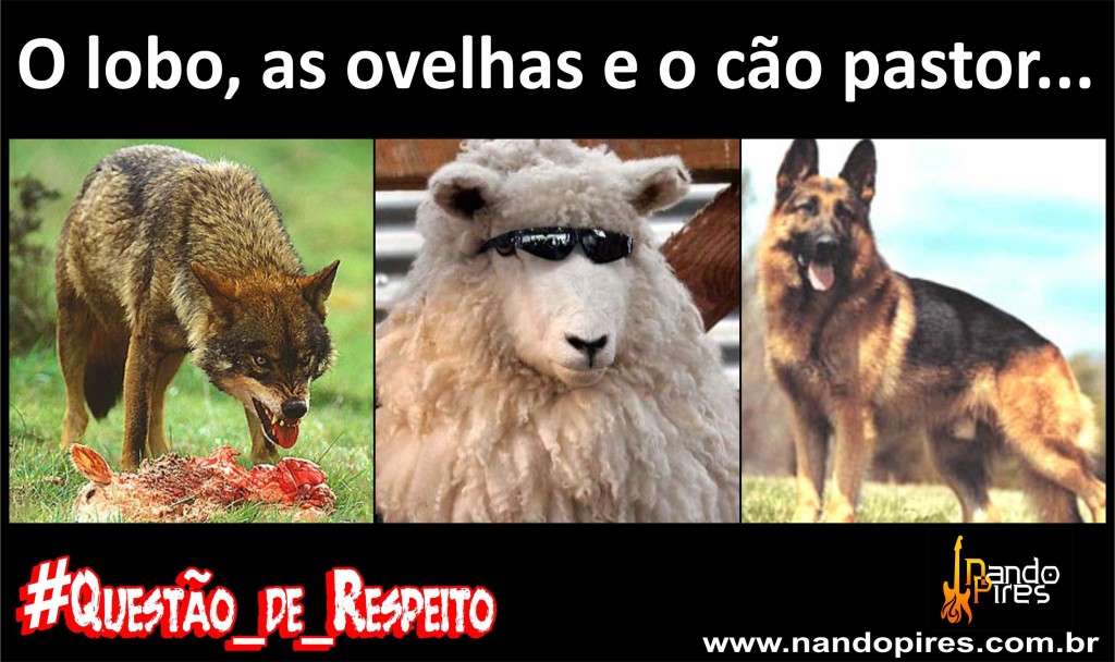O lobo, as ovelhas e o cão pastor...
